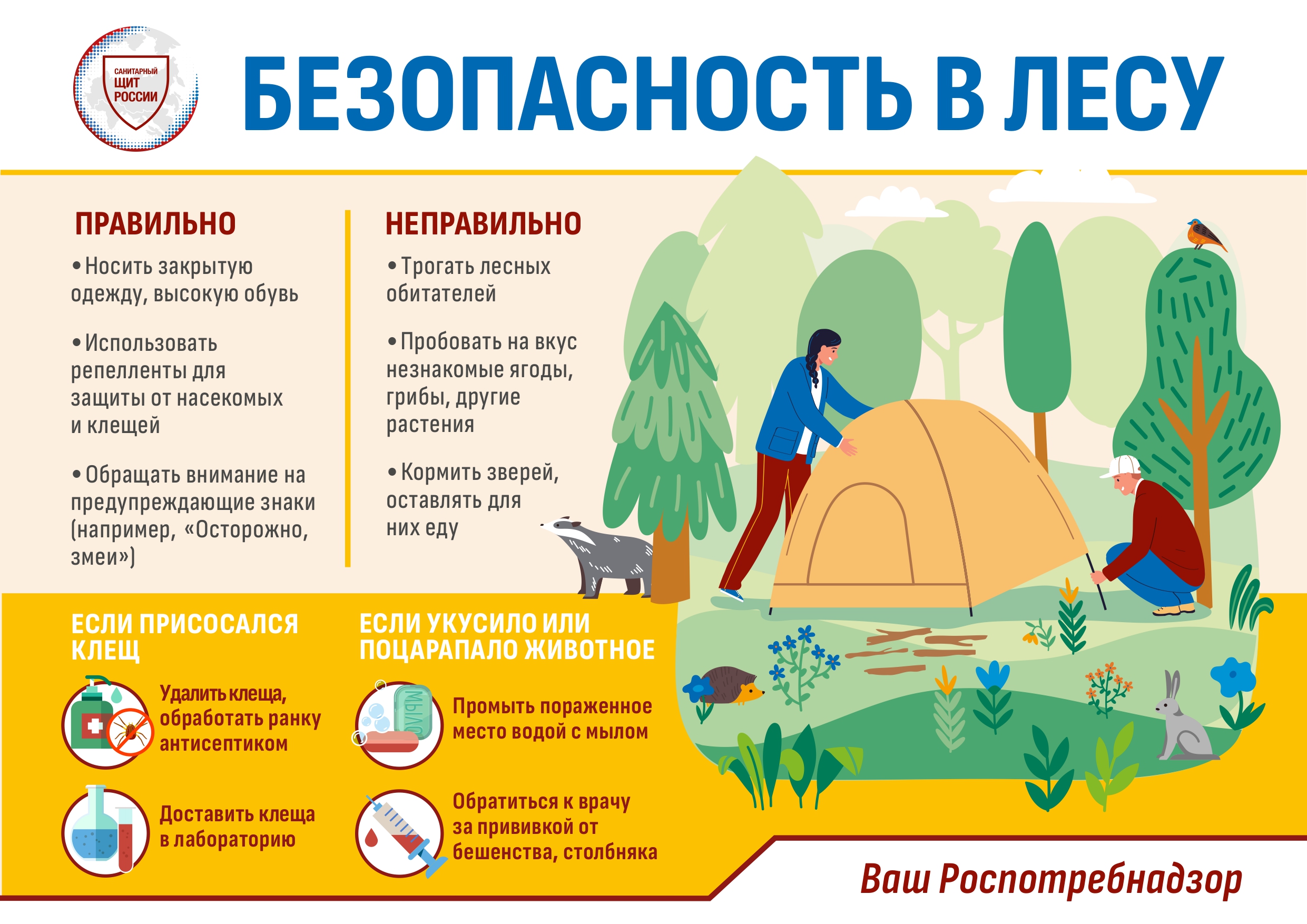 Изображение 0