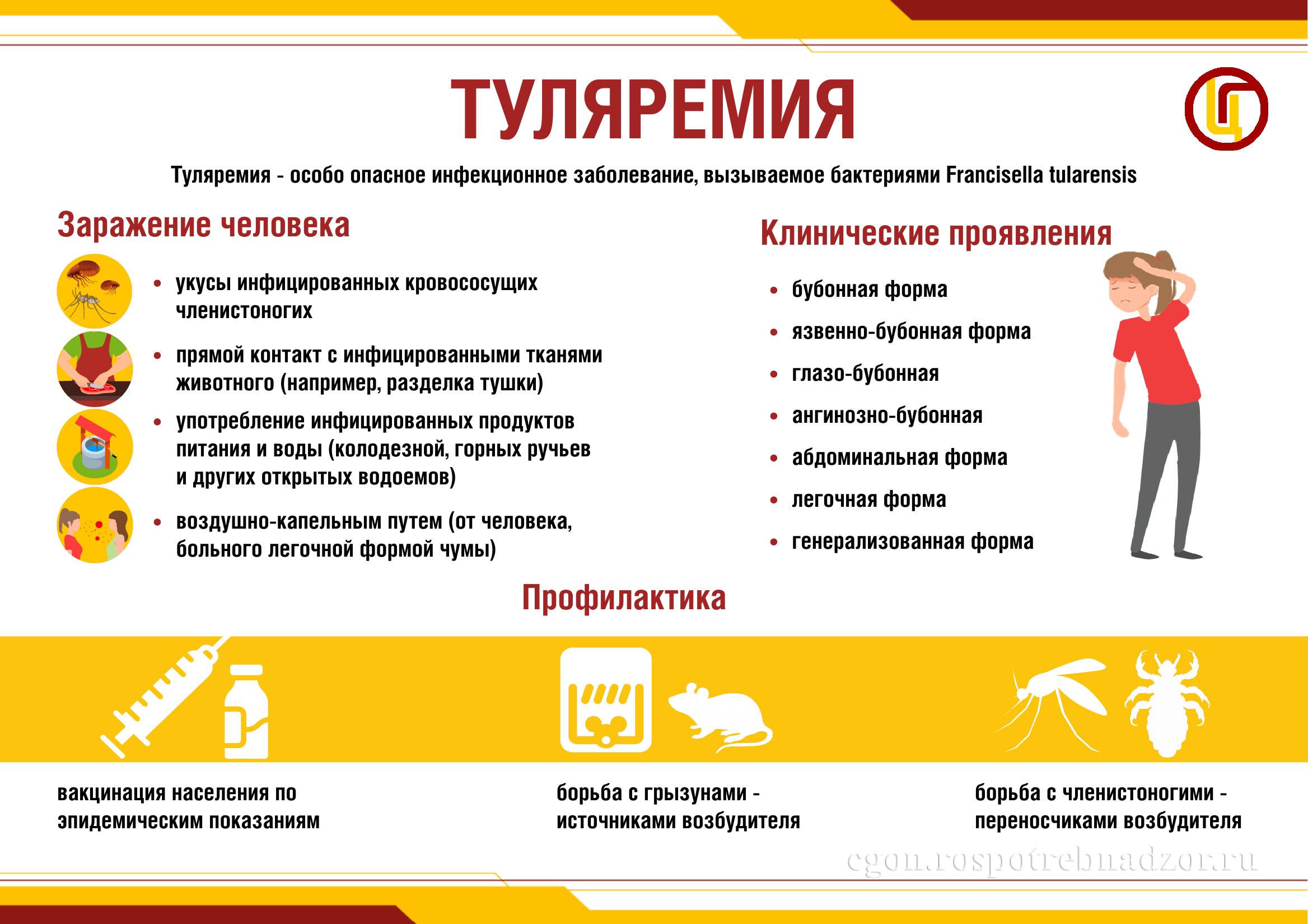 Изображение 11