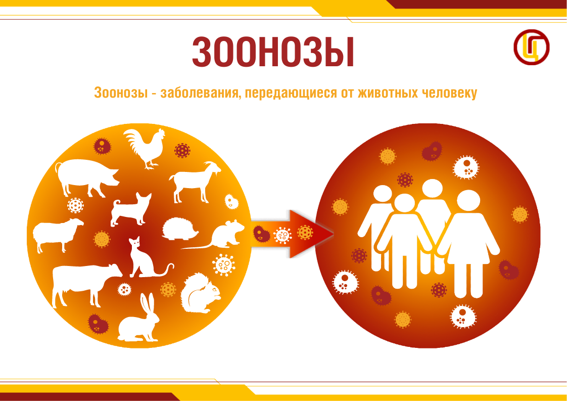 Изображение 9